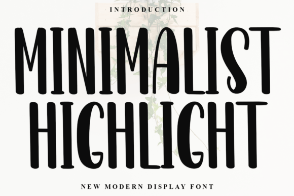Minimalist Highlight: A Bold Display Font for Polished Branding